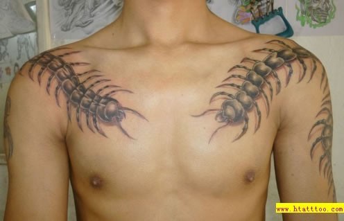点击大图看下一张：男子胸前双肩大蜈蚣图案刺青欣赏