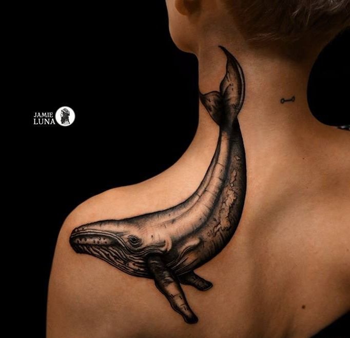 点击大图看下一张：海洋里可爱的小动物纹身黑灰色鲸鱼纹身图案