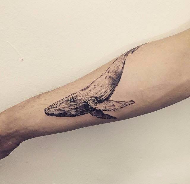 点击大图看下一张：海洋里可爱的小动物纹身黑灰色鲸鱼纹身图案