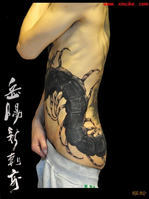 点击大图看下一张：侧腰部大幅黑色蜈蚣纹身图案