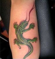 点击大图看下一张：两张手臂上的蜥蜴纹身图片