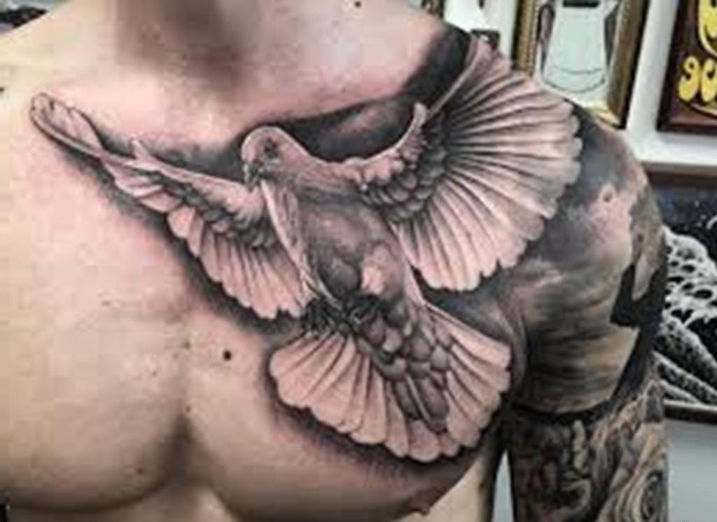 点击大图看下一张：男性胸部上的白鸽纹身图案
