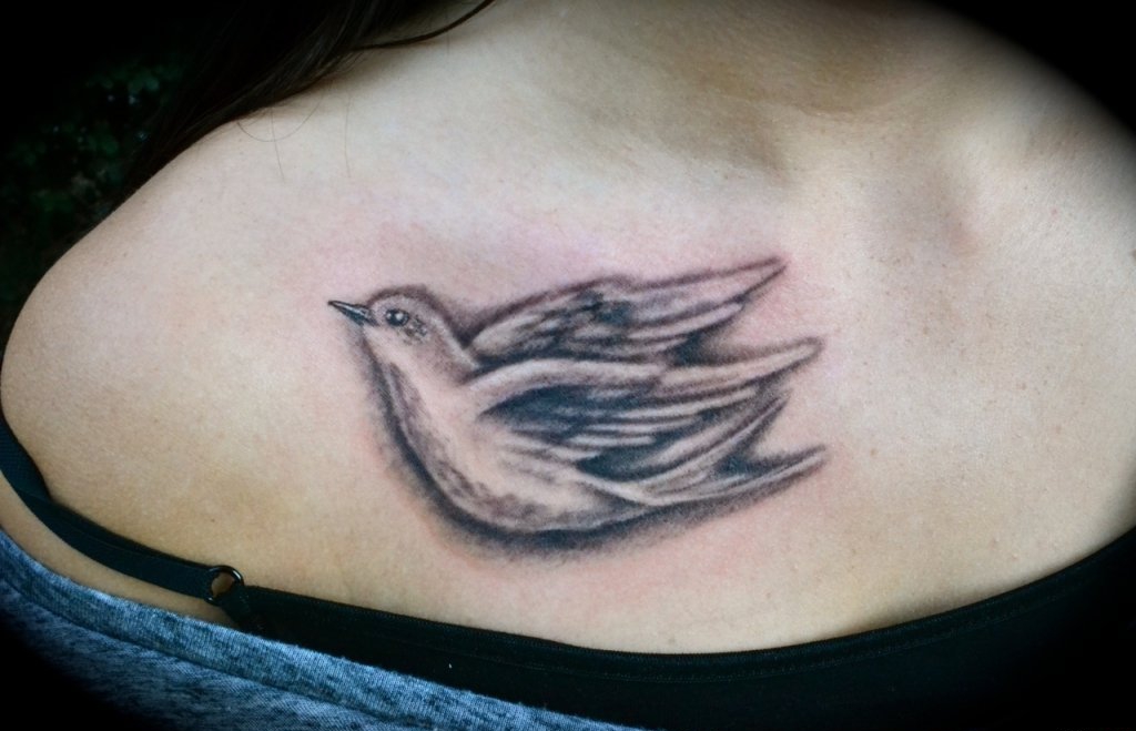 点击大图看下一张:男性胸部上的白鸽纹身图案