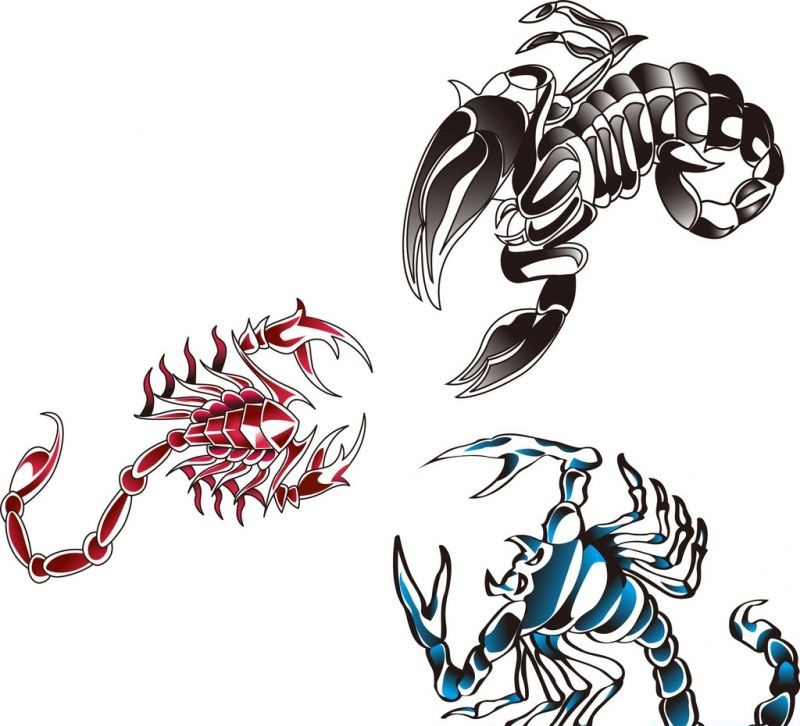 点击大图看下一张：三只彩色的蝎子纹身手稿图