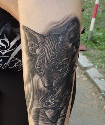 点击大图看下一张：手臂上面眼神坚定的黑猫纹身图