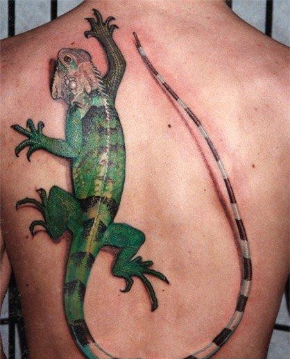 点击大图看下一张：满背蜥蜴纹身图案欣赏