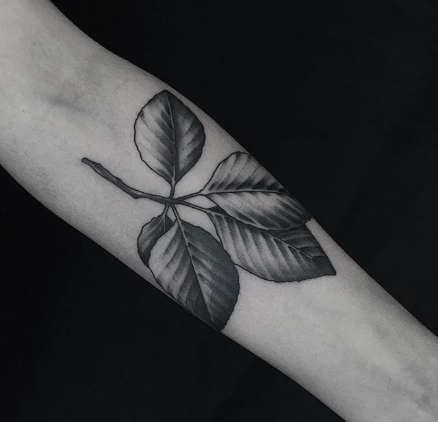 点击大图看下一张：令人难以置信的黑色植物花纹身图案来自吉纳