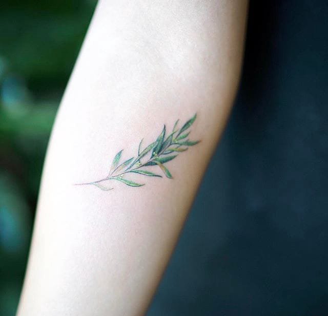 点击大图看下一张：微小的动植物纹身图案女生小清新植物纹身来自南多