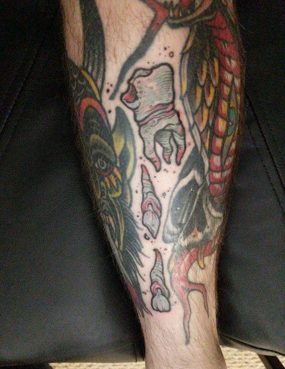 点击大图看下一张：男性小腿上血淋淋的牙齿纹身图片来自纹身师马特