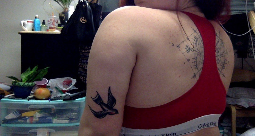 点击大图看下一张：女性左手大臂上漂亮的传统风格燕子纹身图片
