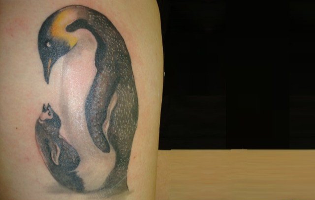 点击大图看下一张：5款很萌很可爱的小企鹅纹身图案