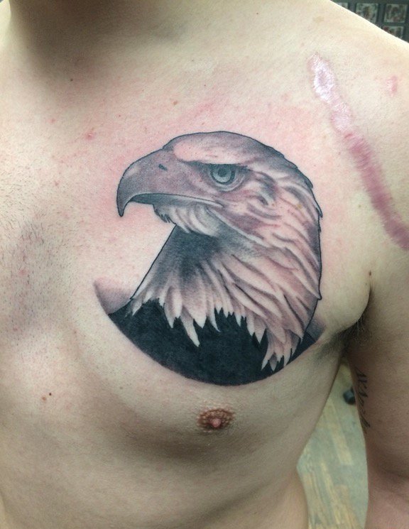 点击大图看下一张：男性左胸部上黑灰色老鹰头纹身图片