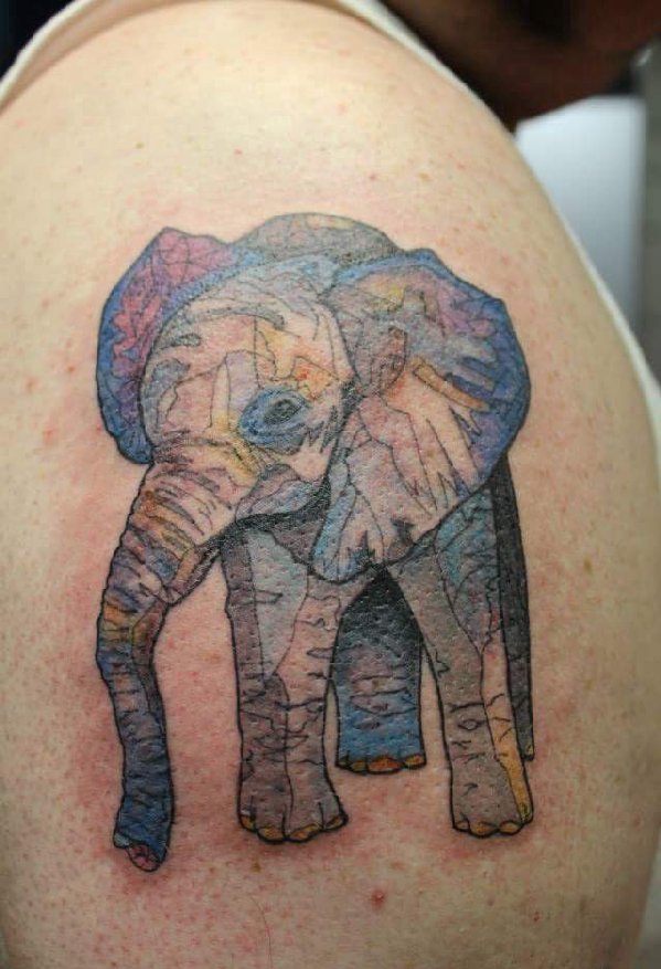 点击大图看下一张：男性右手臂上大象纹身动物纹身图片