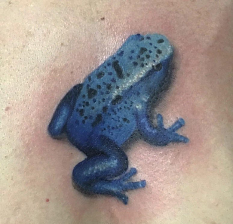 点击大图看下一张：可爱的蓝色3D箭毒蛙纹身图片