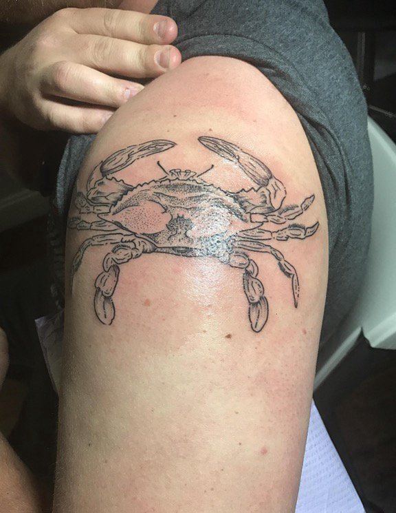 点击大图看下一张：男性左手臂上黑灰色螃蟹纹身动物图片