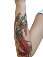 女生手臂潮流经典的传统凤凰彩绘纹身图案