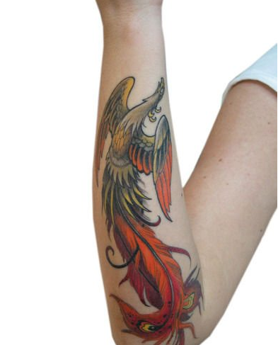 点击大图看下一张：女生手臂潮流经典的传统凤凰彩绘纹身图案