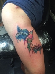 左手大臂膀上漂亮的水彩蜂鸟纹身图片