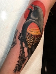 手臂上彩色的树枝上的红翼黑鸟纹身图片