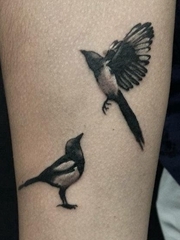 手前臂上的一对可爱的喜鹊纹身图片