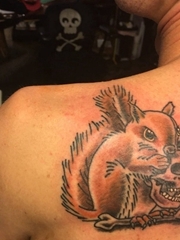 男性后肩背上可怕的松鼠吃骷髅头纹身图片