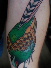 漂亮的彩色雉科鸟纹身动物纹身图片