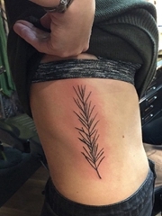 女子侧肋上的植物迷迭香纹身图片