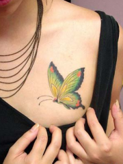 美女胸部一只彩色蝴蝶纹身图案大全