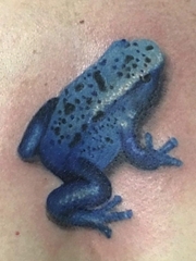 可爱的蓝色3D箭毒蛙纹身图片