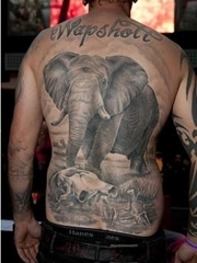 男子满背霸气大象纹身图案