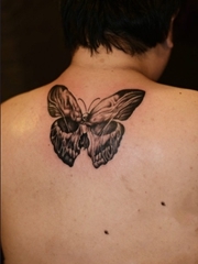 男人后背蝴蝶纹身图案