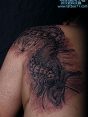 纹身图库肩部蜈蚣纹身图案