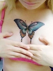 好看唯美的女性胸部蝴蝶纹身图案hudiewenshen