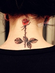 美女颈部一枝玫瑰纹身图