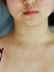 95后女孩锁骨两边个性植物纹身图案