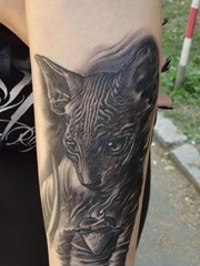 手臂上面眼神坚定的黑猫纹身图