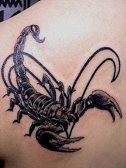 后肩部的黑色大蝎子纹身图案欣赏