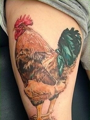 大腿上一款非常逼真的公鸡纹身图案