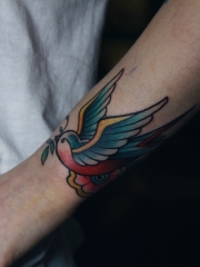 手臂一只翱翔的彩色school小燕子纹身图案