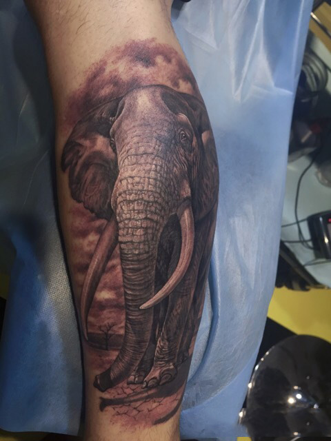 点击大图看下一张：小腿写实大象素描纹身