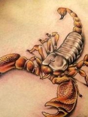 三张胸前彩色蝎子纹身图案作品