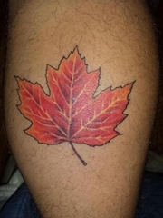 小腿上漂亮的红枫叶纹身图片