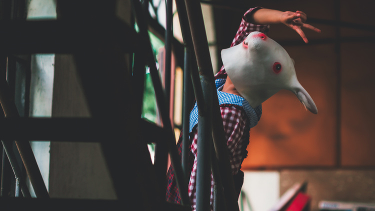 点击大图看下一张：疯兔的日常