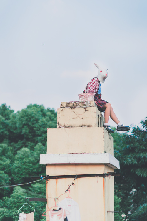 点击大图看下一张:疯兔的日常