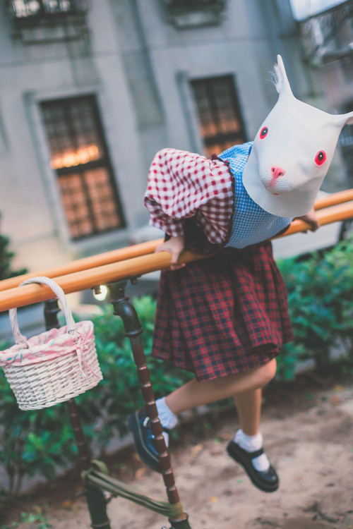 点击大图看下一张：疯兔的日常