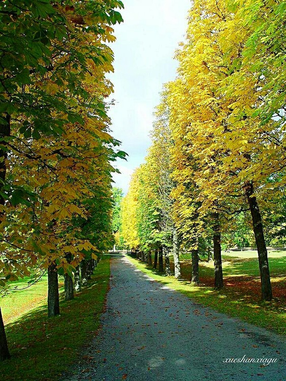 点击大图看下一张：美丽的瑞典