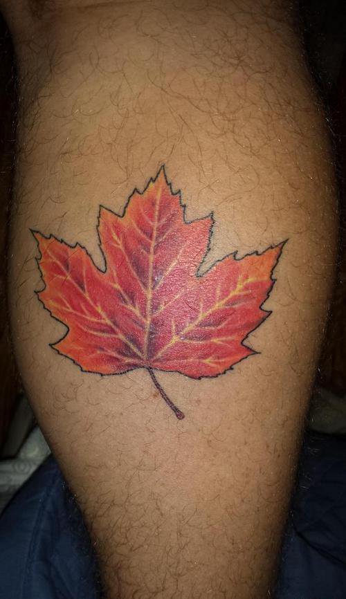 点击大图看下一张：小腿上漂亮的红枫叶纹身图片