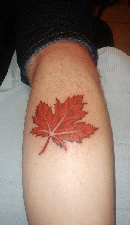 点击大图看下一张：小腿上小清新植物纹身红色枫叶纹身图片