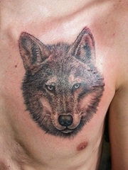 男性左胸部上帅气的写实风格狼头纹身图片