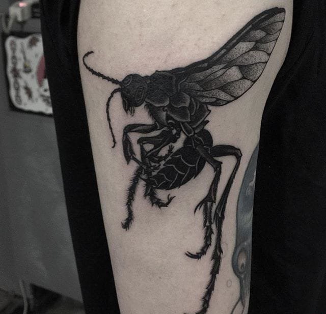 点击大图看下一张：黑色水墨风格纹身动物有趣的昆虫纹身图案